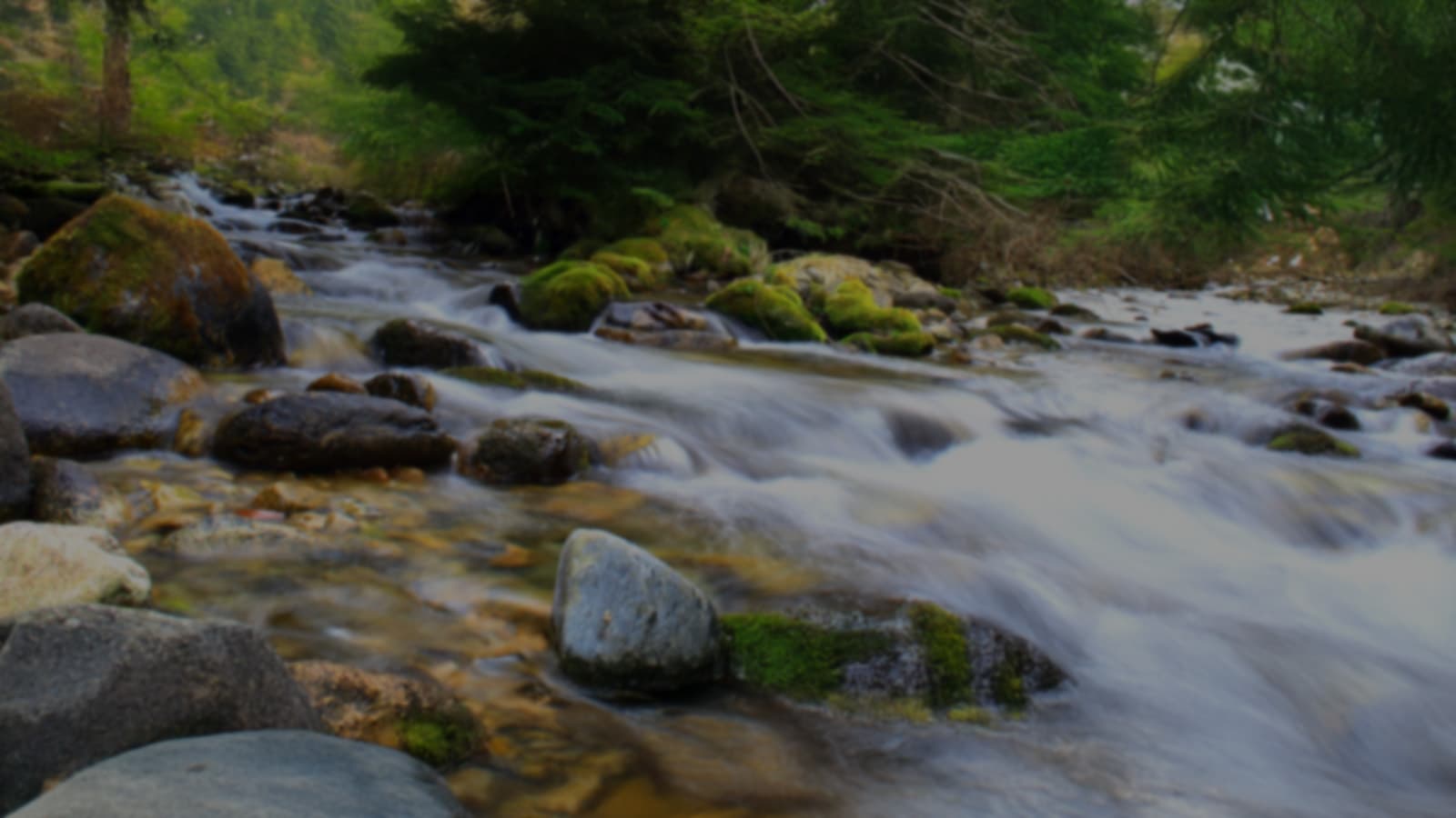 Flowing water and natural scenery from the Equilibrium website